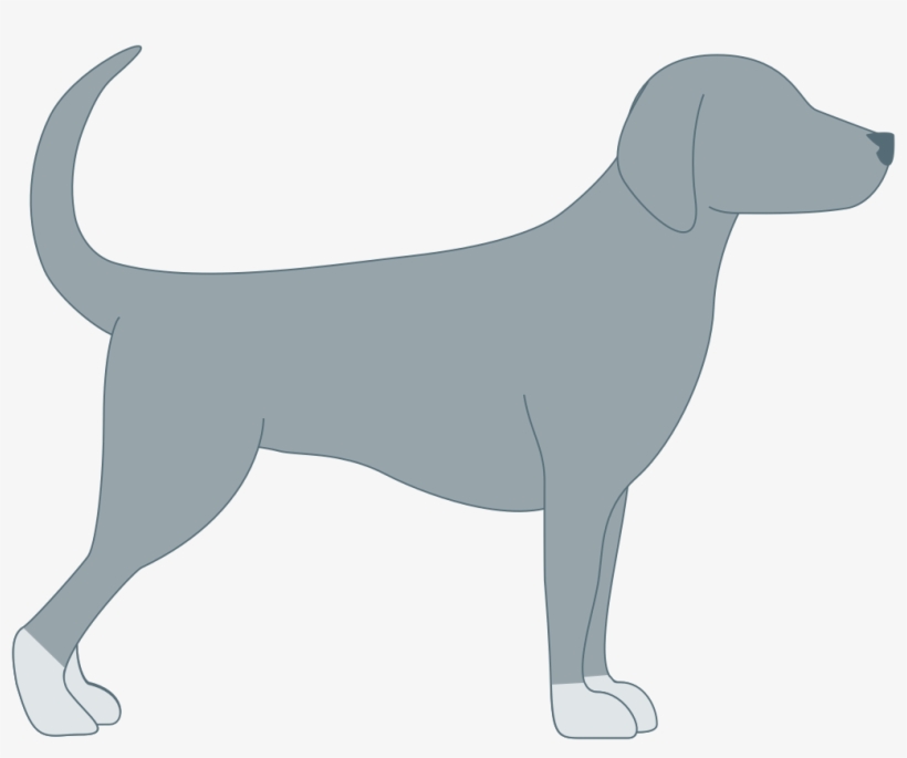 Dog Face Png - Dog, transparent png