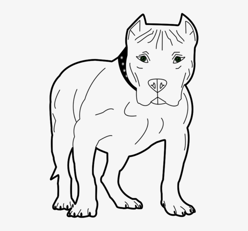 Bull,staffordshire - American Pit Bull Terrier, transparent png