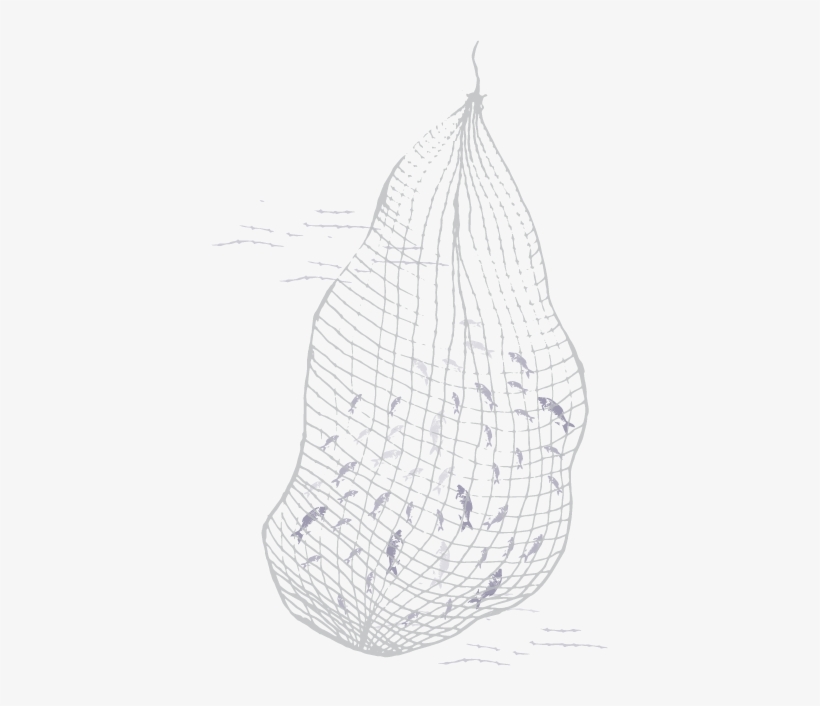 A Burmese Fisherman Living In Thailand - Sketch, transparent png