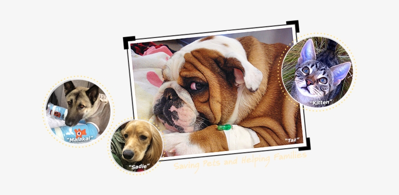 Homebanner - Face, transparent png