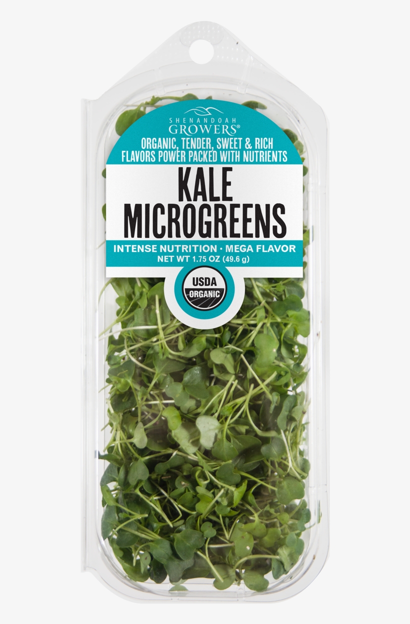 Kale Microgreens - Tap4 Mein Grünes / Wiesen Edel Weisse, transparent png