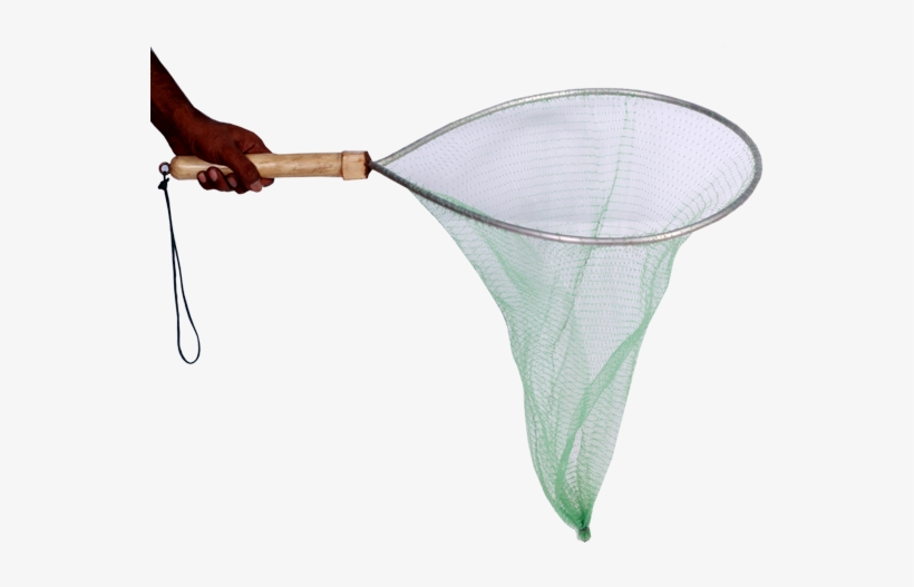 New Products - Net, transparent png