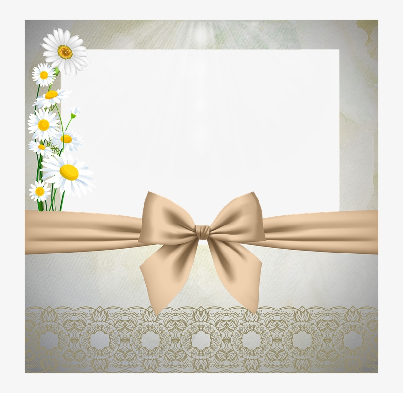Bow, Beige, Ribbon, Flower, Framework - Ribbon, transparent png