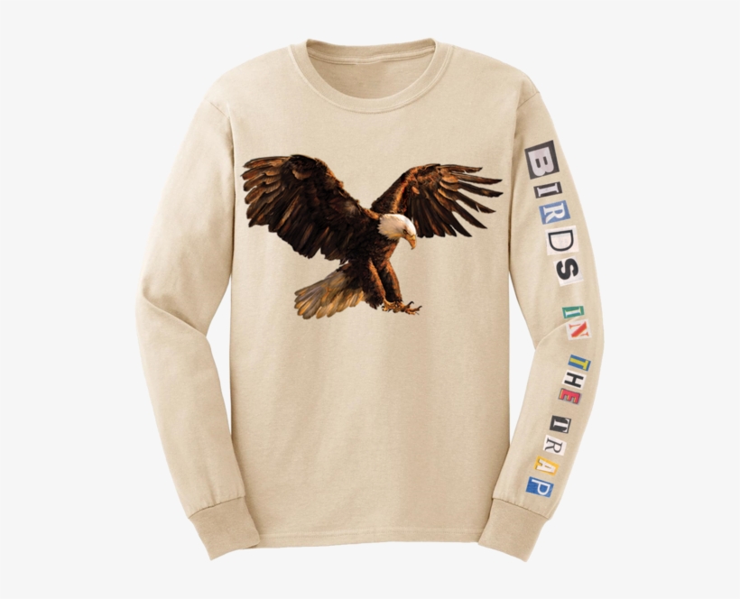 birds in the trap sing mcknight hoodie