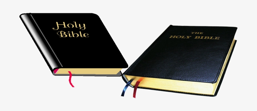We Believe The Bible To Be The Inspired, Only Infallible - Belief, transparent png