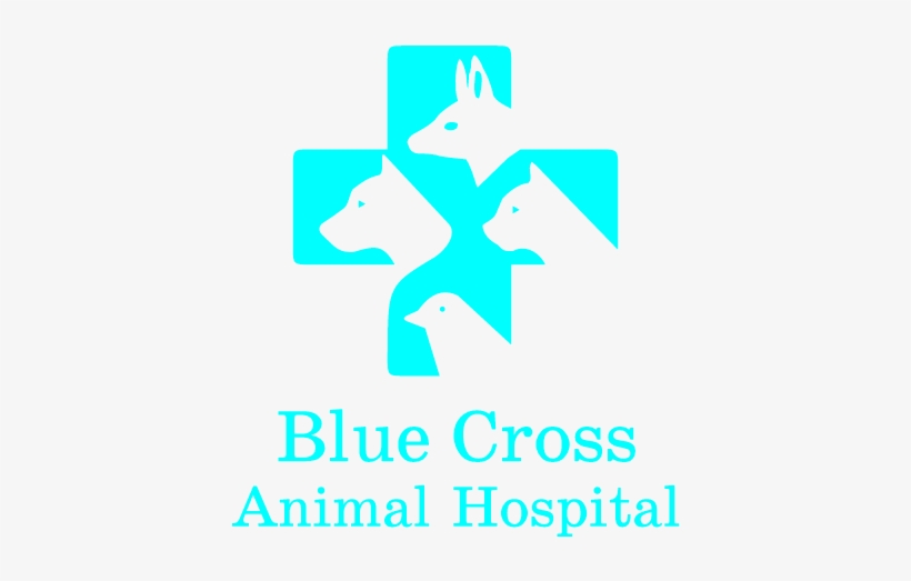 Hospital, transparent png