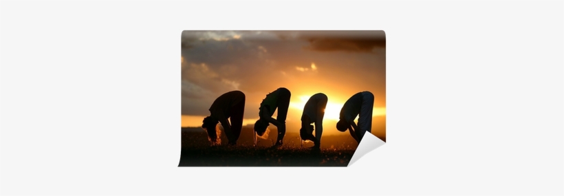 Patchimottanasana Yoga Silhouettes By The Sun Wall - Yoga, transparent png