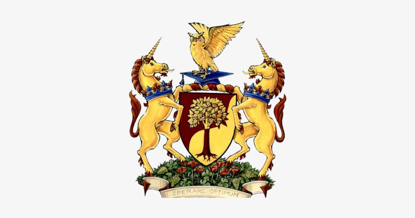 Extract From Letters Patent Granting Armorial Bearings - Coat Of Arms Of Montreal, transparent png