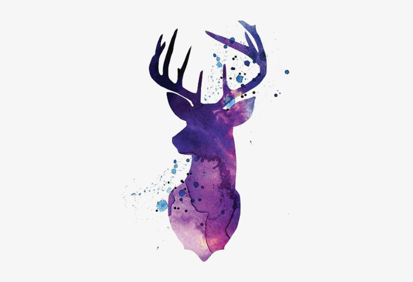 Deer Clipart, transparent png