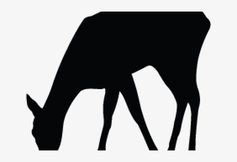 Silhouette, transparent png
