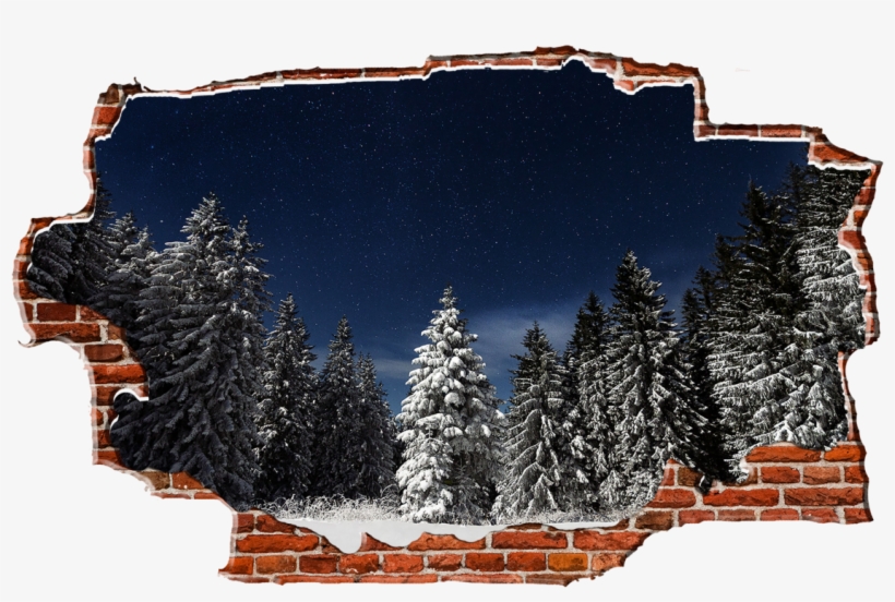 Zapwalls Decals Evergreen Snowy Trees Dark Night Breaking - Irgendwo Auf Der Welt: Eine Liebesgeschichte In Vier, transparent png