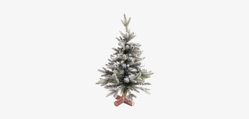 Christmas Tree Snowy, - Tree, transparent png