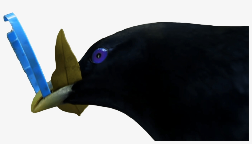 Lemme Smash Blue - Lemme Smash Blue And Yellow, transparent png