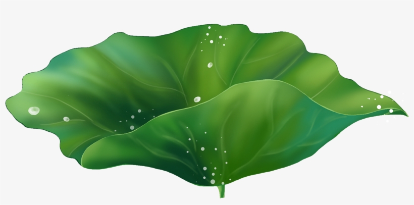 Hand Painted Cartoon Exquisite Lotus Leaf Decoration - Illustration, transparent png