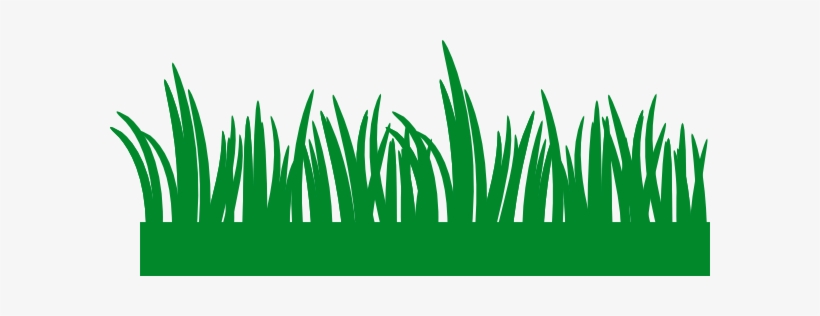 Grass Gruesa Clip Art - Grass Border Clip Art, transparent png