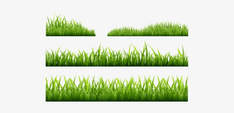Read It - Grass Illustration Png Free, transparent png