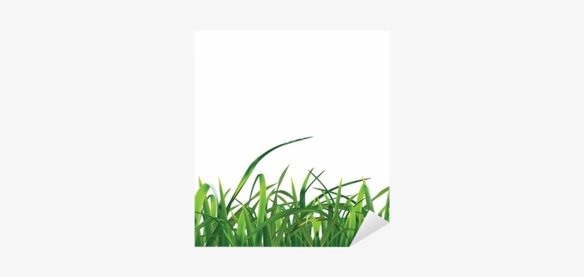 Sweet Grass, transparent png