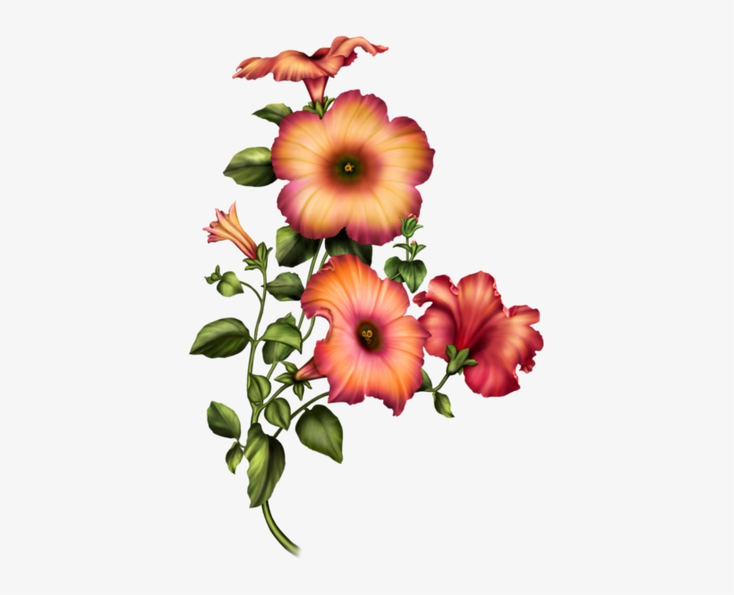 Pin By Dorota Kusal On Grafika Kwiaty - Flower, transparent png