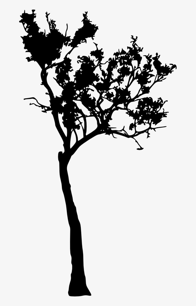 Free Download - Silhouette, transparent png