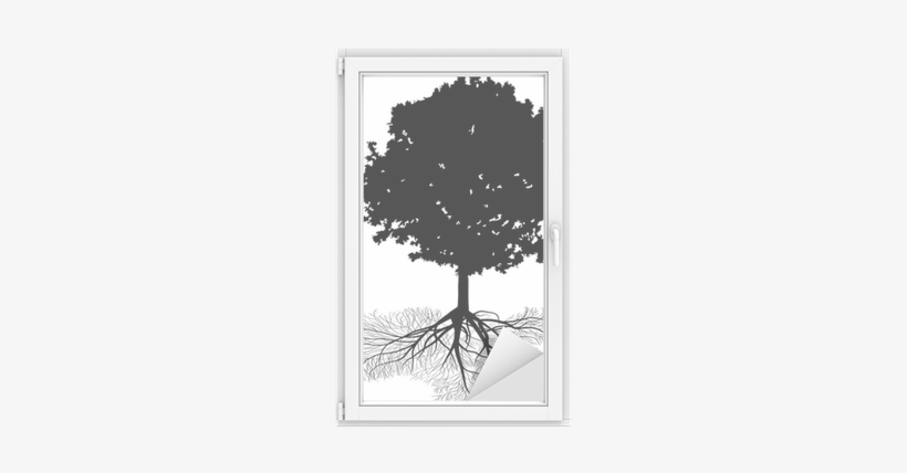 Black Oak Tree With Large Root Isolated On White Window - Rocha, transparent png