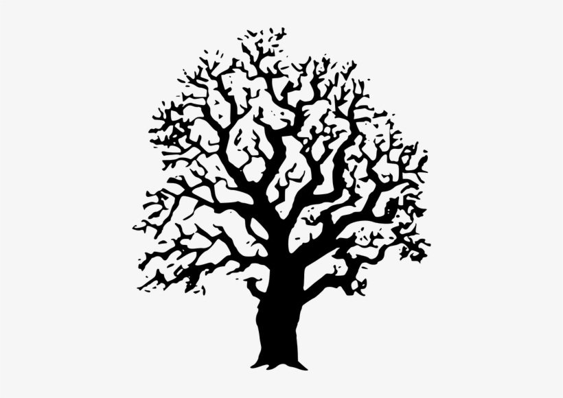 4302 Clipart Live Oak Tree Silhouette - Laser Cut Tree Vector, transparent png
