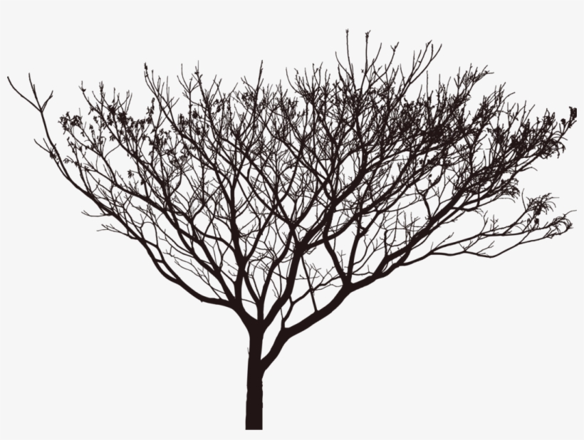 Street Light Street Light Lamp Shadow - Sunset, transparent png