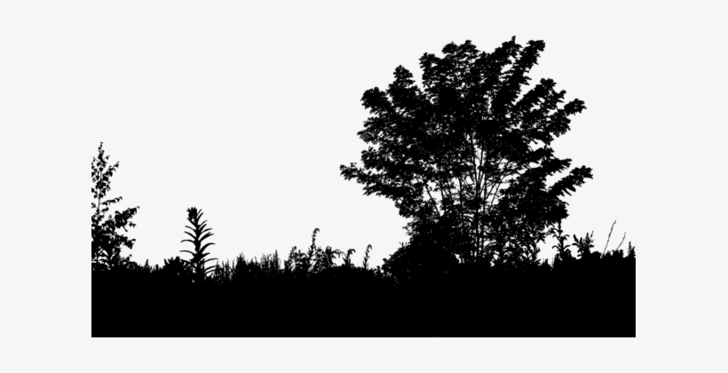 Silhouette Drawing Tree Leaf - Foliage Silhouette Png, transparent png
