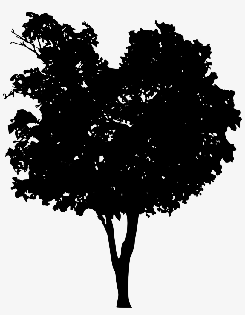 Free Oak Tree Silhouette Transparent Background - Portable Network Graphics, transparent png