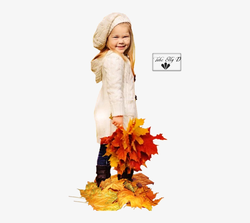 Dr. Stefan Frank - Folge 2210: Ein Herbstspaziergang, transparent png