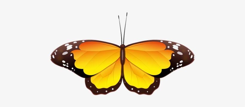 Real Butterfly Cliparts - Butterfly Clipart Black And White Png, transparent png