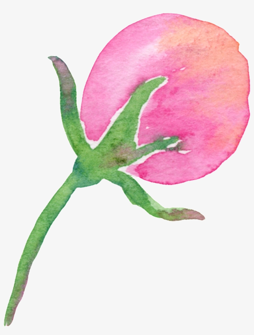 Branch, transparent png
