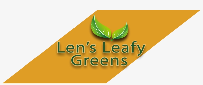 Len's Leafy Greens - Leaf Vegetable, transparent png
