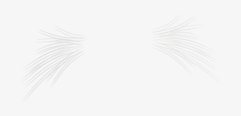 Angela Kwak - Monochrome, transparent png