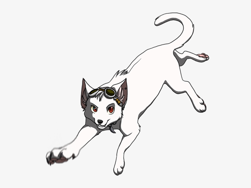 No Messin With This Cool Cat By Pirategirl - Cat, transparent png