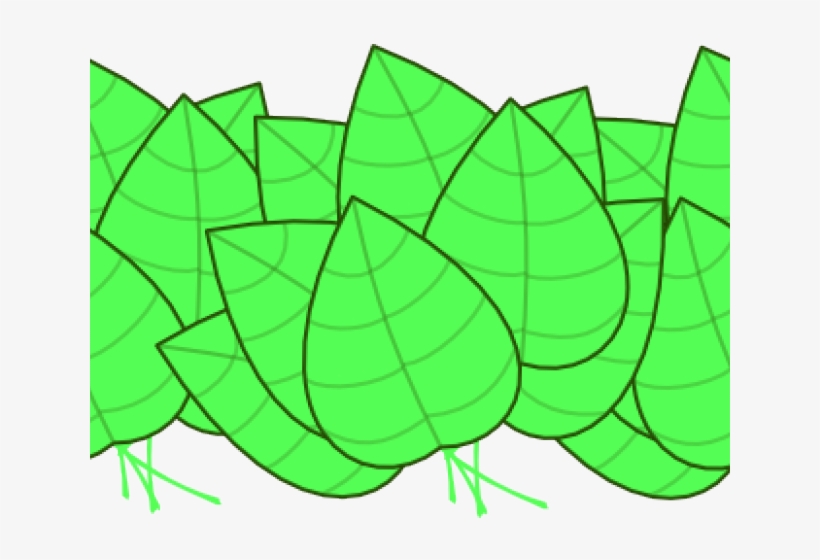 Leaves Clip Art, transparent png