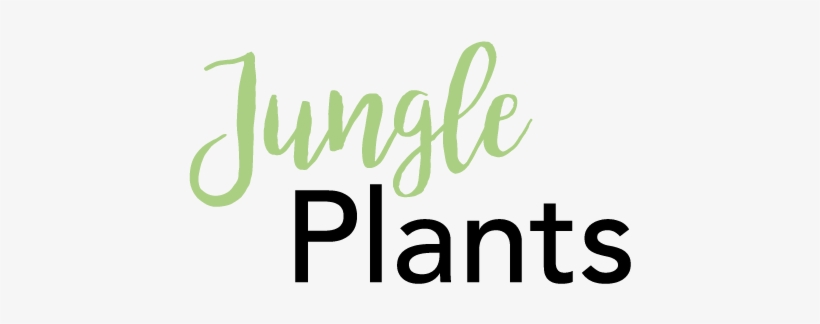 “a Mini Jungle On Your Doorstep” - Secrets Of Good-carb/low-carb Living, transparent png
