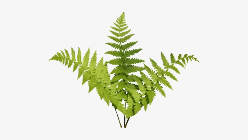 Jungle Plant Png - Vaporwave Lockscreen, transparent png