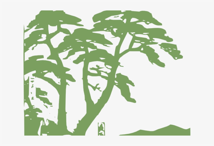 Rainforest Clipart Palm Tree - Rainforest Svg, transparent png
