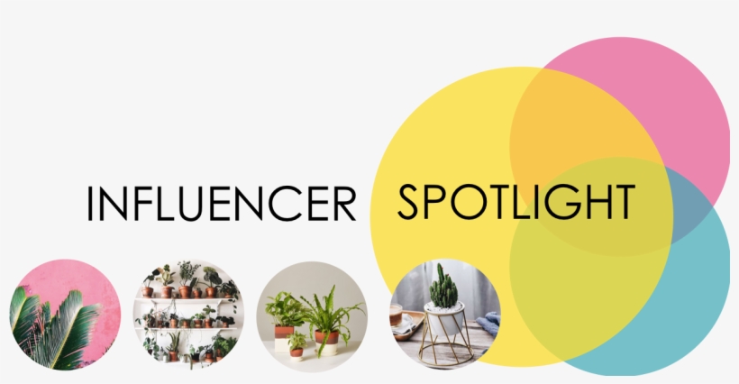 Indoor Plants Are Currently A Growing Trend And We - St Patricks's Day, transparent png