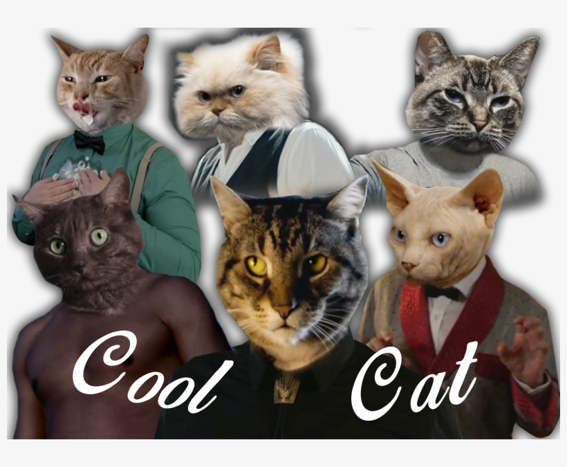 Cool Cat Crew - Cat, transparent png