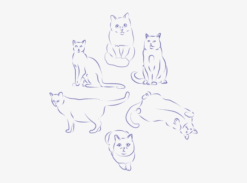 Minimal Cat Practice Sketches From Before I Knew This - Sketch, transparent png