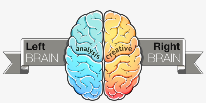 We Use Our Left Brain - Roth Schoolagenda 'einhorn', 2017/2018, Din A6, transparent png