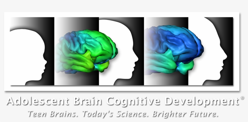 Logo Abcd Ondark Lg - Brain, transparent png