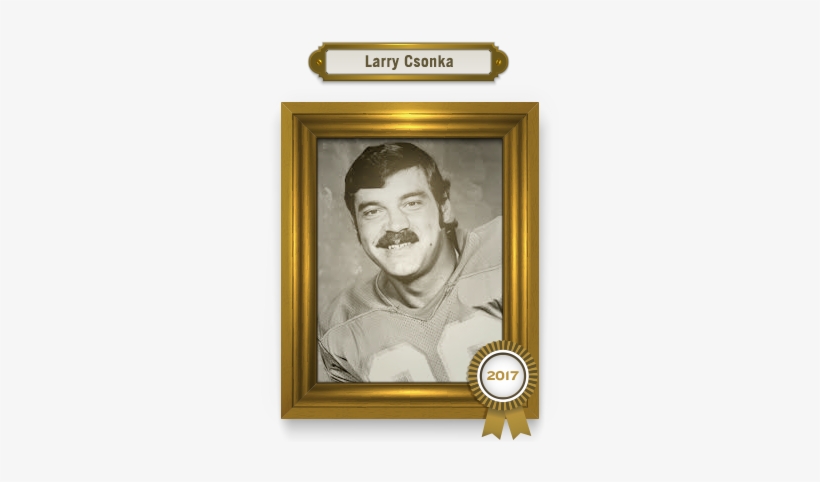 A Two-time Super Bowl Champion, Mvp Of Super Bowl Viii, - Hall Of Fame Frame, transparent png