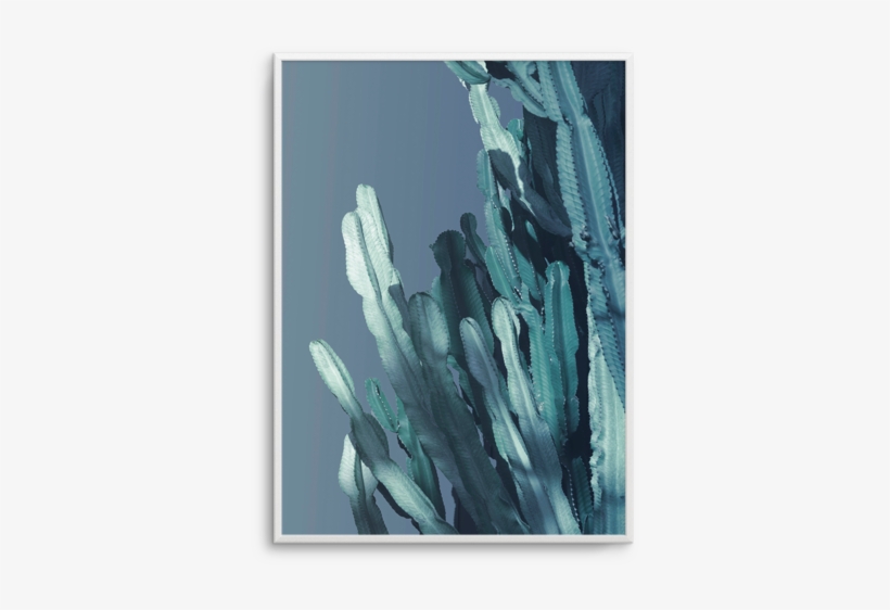 Cactus In Blue No 1 Cactus In Blue No - Blue, transparent png
