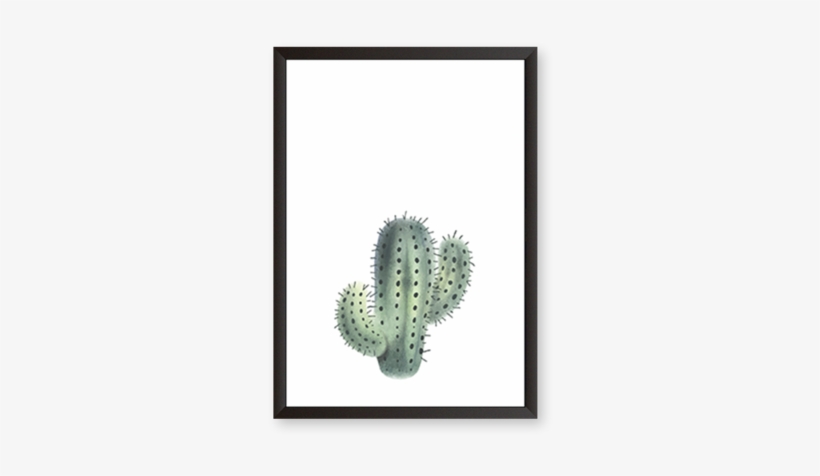 Cactus - Prickly Pear, transparent png