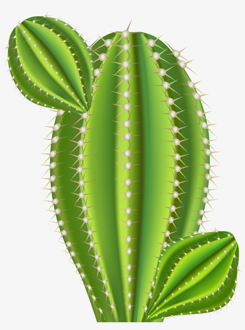 Clip Art, transparent png