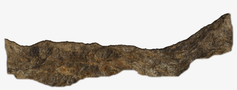 Rockwall1 Dgw-c - Dog, transparent png