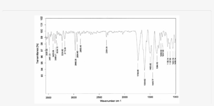 Ftir Spectra Of Dried Banana Peel - Banana Peel, transparent png