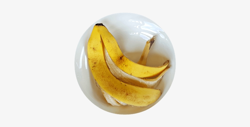 3 Ways To Improve Garden Soil Without Composting Plant - Peel, transparent png